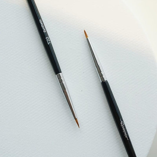 T22 Fine Concealer Eyeliner Brush for Pockmarks