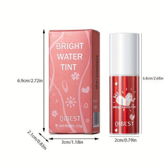Moisturizing Lip Gloss Long Lasting High Pigmentation