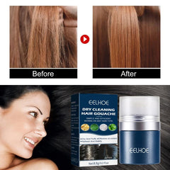 Plant Based Dry Hair Shampoo Powder For Travel