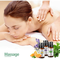 6pcs 10ml Essential Set Lavender Eucalyptus Peppermin