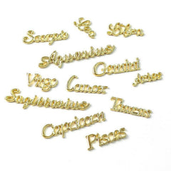 12pcs Zodiac Constellation Nail Art Charms - 12 Styles
