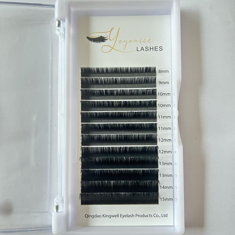Individual Eyelash Extensions Cluster Lashes C D Curl 8 16mm False Eyelashes