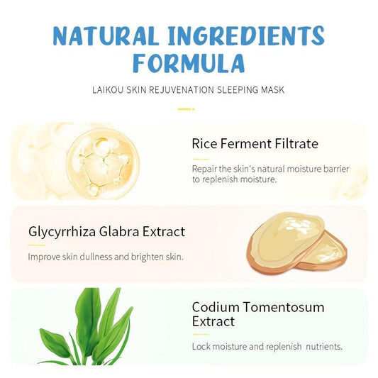 Koala Leave on Sleeping Mask Daily Care Skin Care Products