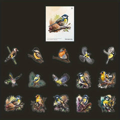 30sheets Retro Plant Flower Bird PET Stickers DIY Collage Decoration Scrapbook