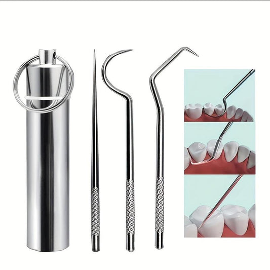 6 Pcs Stainless Steel Toothpick Set with Storage Tube