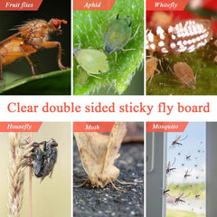 30Pcs Floral Style Fruit Fly Trap Window Sticker No Toxic Fly Paper For Home