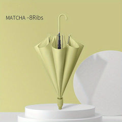 Large Windproof Umbrella with Auto Open and Leak-proof Cover