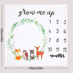 Newborn Baby Month Anniversary Props for Photography