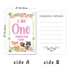 12pcs Newborn Month Sticker Cards - Perfect Baby Shower Gift
