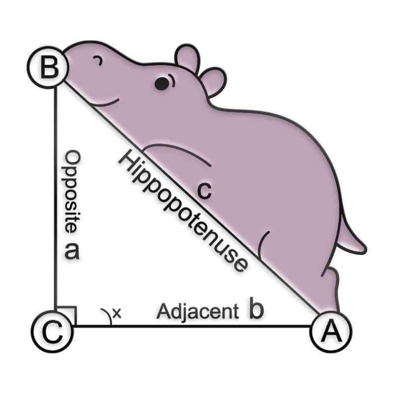 Math Formula Small Animal Brooch Pins