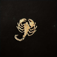 Men's Scorpion Pins, Animal Themed Fashion Accessories