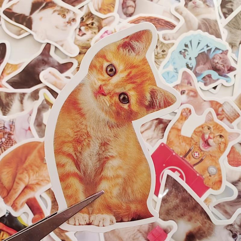 50Pcs Cat Waterproof Vinyl Stickers KidsTeens Girls