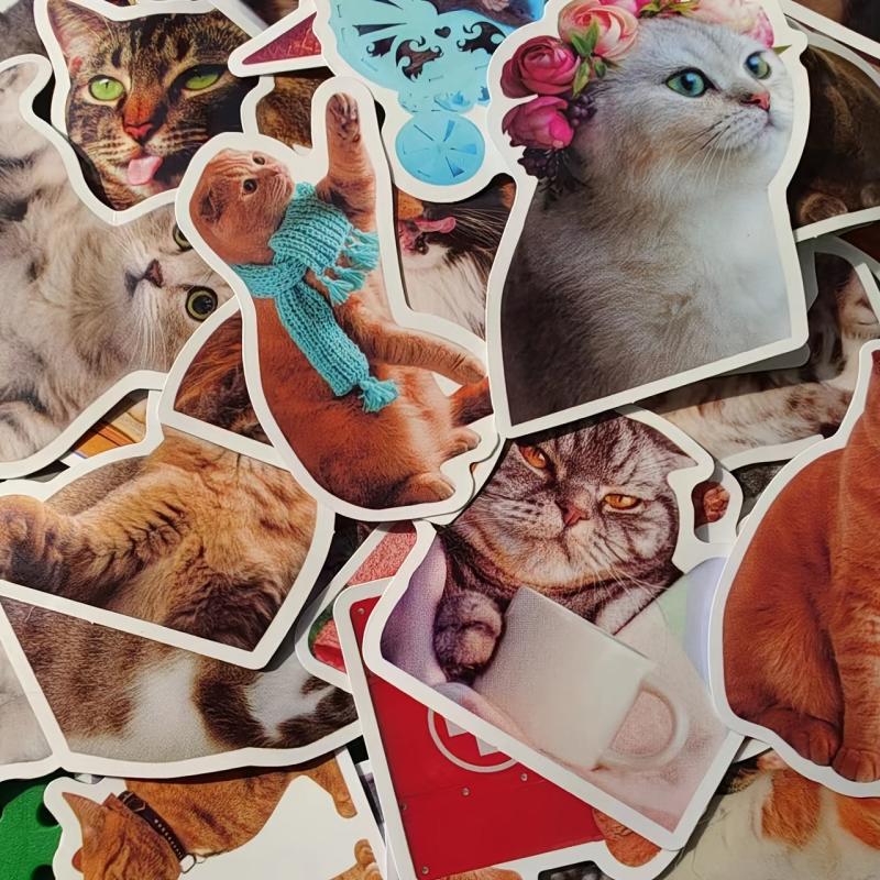 50Pcs Cat Waterproof Vinyl Stickers KidsTeens Girls
