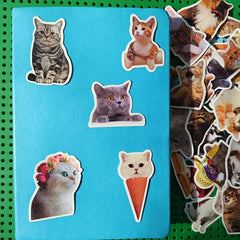 50Pcs Cat Waterproof Vinyl Stickers KidsTeens Girls
