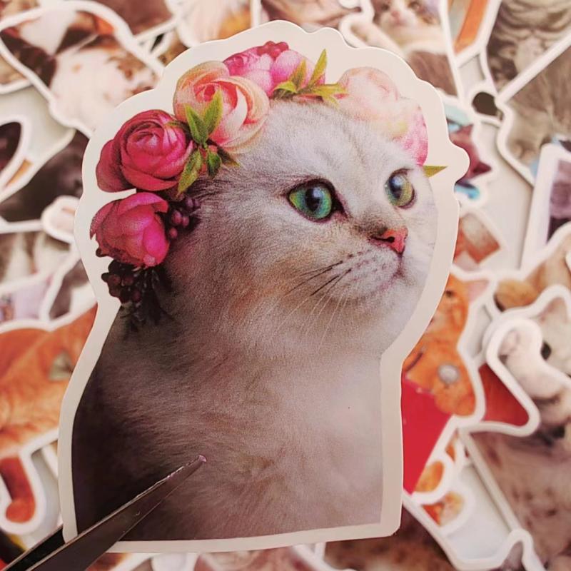 50Pcs Cat Waterproof Vinyl Stickers KidsTeens Girls