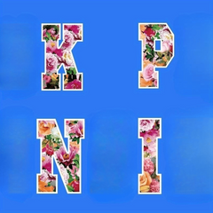 Girls Clothing Decoration Patch - Hot Transfer Clothing Patch