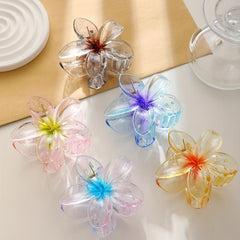 5pcs Gradient Flower Hair Claw Transparent Ponytail Holder Hair Accessories