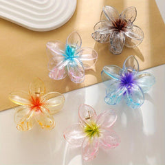 5pcs Gradient Flower Hair Claw Transparent Ponytail Holder Hair Accessories