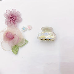 Mini Colorful Hair Claw for Women