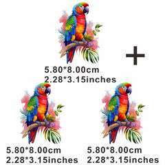 Creative Parrot Painting Iron On Heat Transfer Sticker