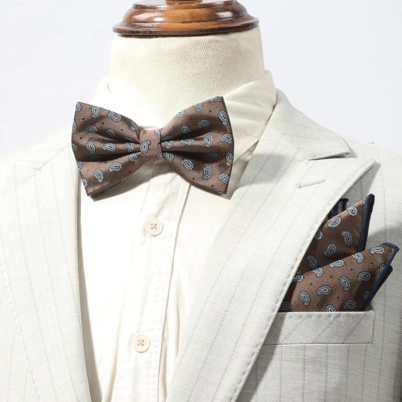 3pc Men's Vintage Cashew Gift Tie Set