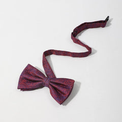Men's Thin Striped Bow Tie