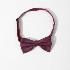 Men's Thin Striped Bow Tie