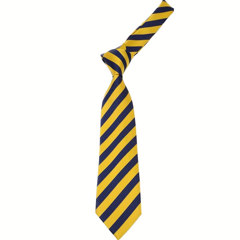 Men's Classic Striped Print Tie in Gift Box
