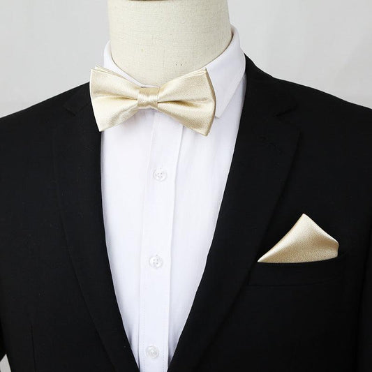 2pcs Bow Tie Pocket Square Set Men's Business Casual Dress Accessories