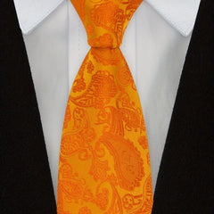 1pc Mens Paisley Ties Solid Tie Handkerchief Floral Men's Necktie Set Wedding
