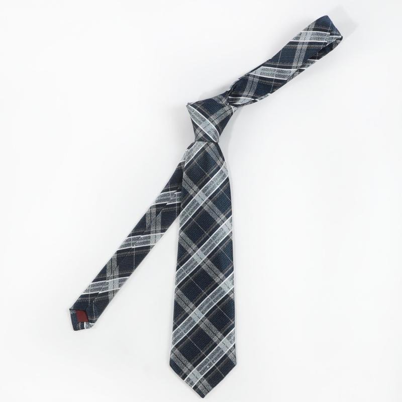Men's Plaid Striped Ties Wedding Gift Classic Daily Neckties
