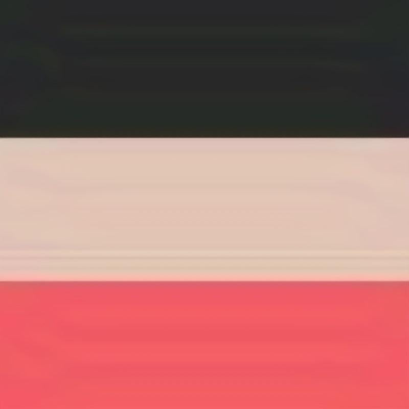 3pcs Triple Ring Buckle Belt Dark Pink Red PU Vintage Waistband Girdle