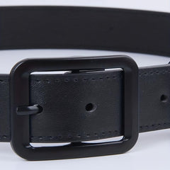 Vintage Thin Waist Belt For Men