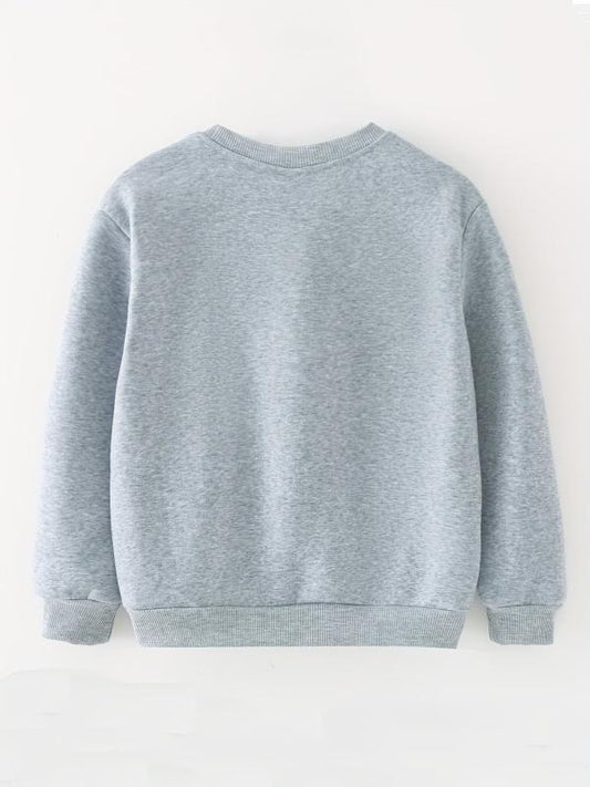 Boys Letter Graphic Sweatshirt Spring Fall