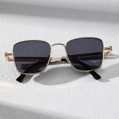 Men's Small Frame Square Sunglasses