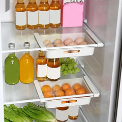 Eggs Storage Container for Refrigerator Portable Egg Carrier