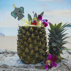 6pcs Animal Theme Reusable Straws for Family Gatherings