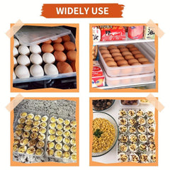 24 Grids Egg Holder With Lid Clear Stackable Plastic Egg Storage Containers