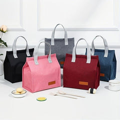 Large Capacity Insulated Lunch Bag for Teens and Workers