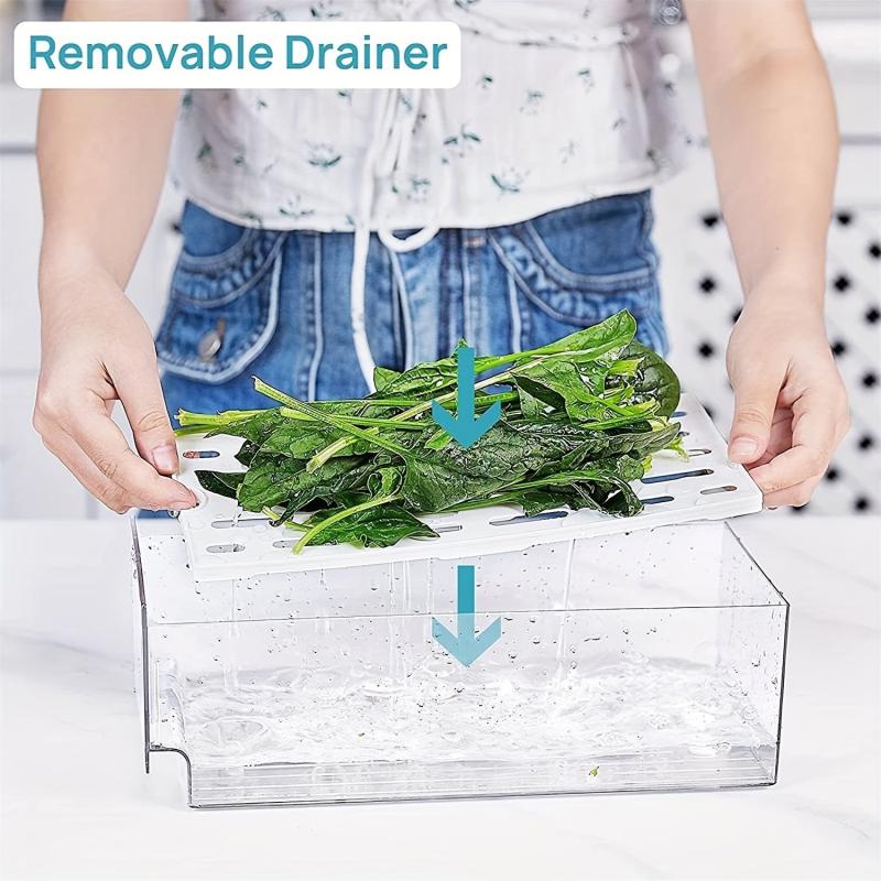 Drawer Type Refrigerator Storage Box with Drain Pad