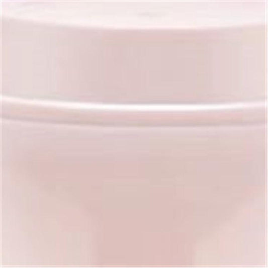 304 Stainless Steel Insulated Lunch Box Double Layer Bowl