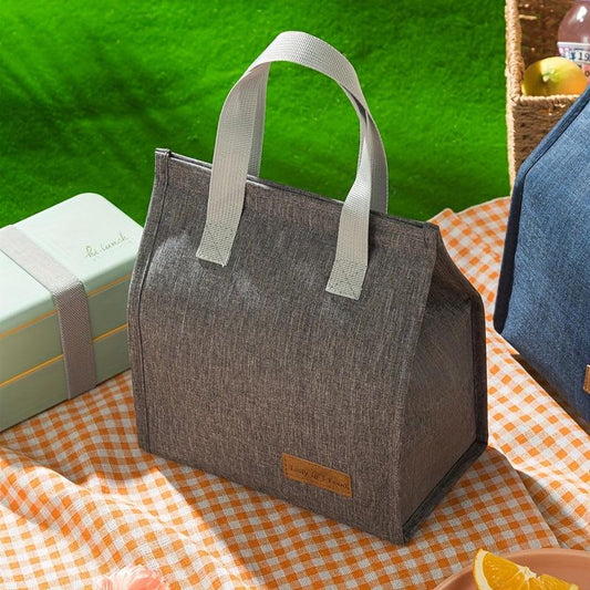 Leakproof Aluminum Foil Insulated Lunch Bag with Handle for Teens and Adults