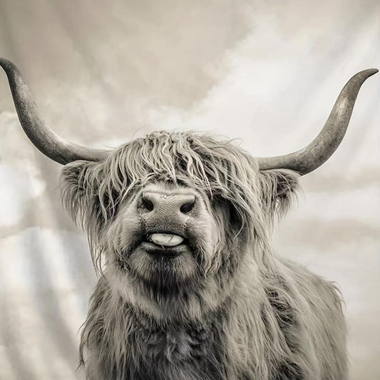 Highland Cow 3D Printing Flannel Blanket Soft Cozy Blanket for Couch Bed Camping
