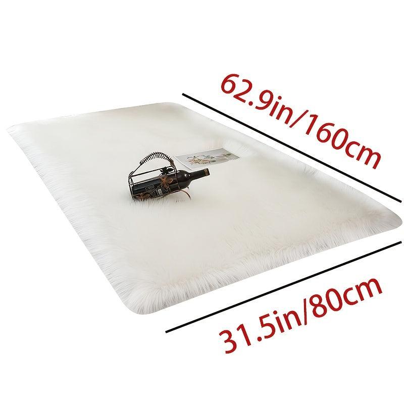 Soft Plush Area Rug 31.5 X 62.9 Furry Thickened & Shaggy Carpet