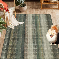 1pc Abstract Woven Area Rugs Anti slip Distressed Outdoor Rugs