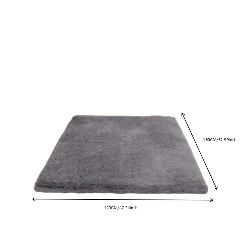 Soft Plush Area Rug for Bedroom Living Room