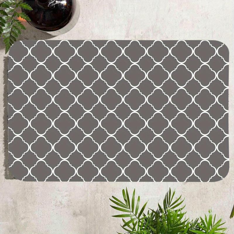 Absorbent Non Slip Carpet for Home Decor and Door Mat