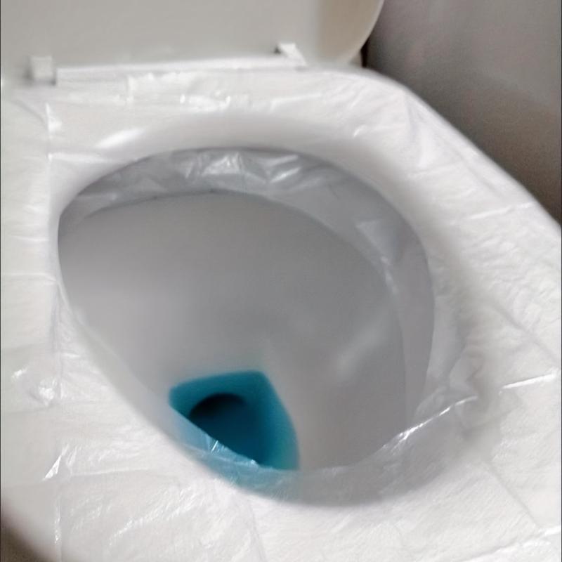 10pcs Disposable Toilet Seat Covers Waterproof Travel Bathroom Supplies