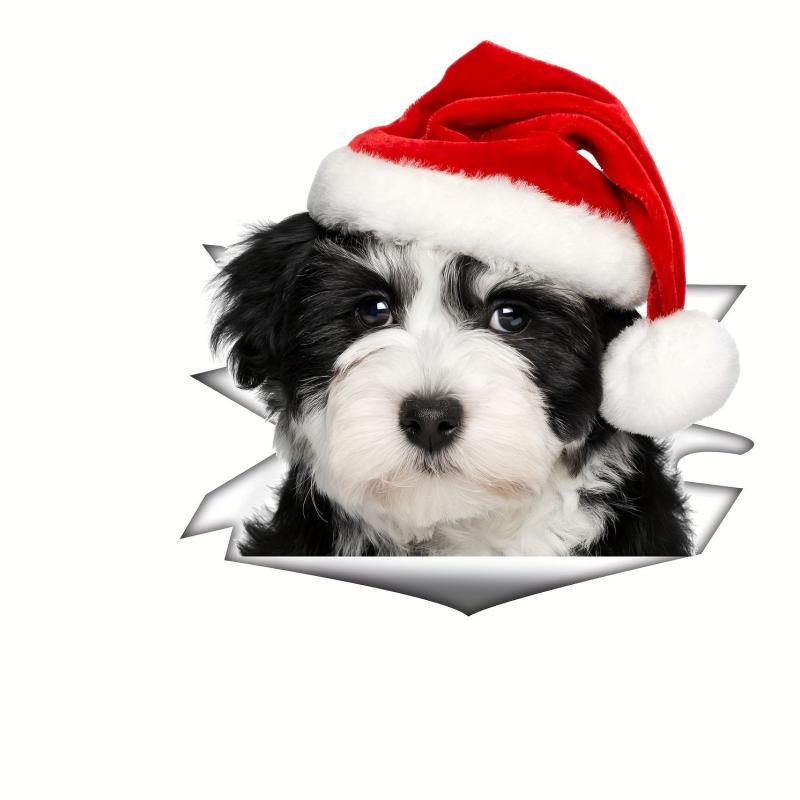 Christmas Toilet Stickers Cat Showcase Home Decor Cartoon Sticker
