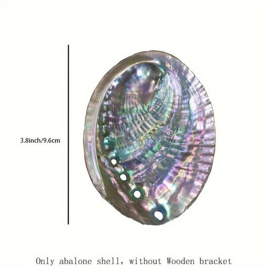 Natural Abalone Shell with Wooden Stand for Smudging and Cleansing